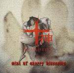 Tokami : Mist of Cherry Blossoms